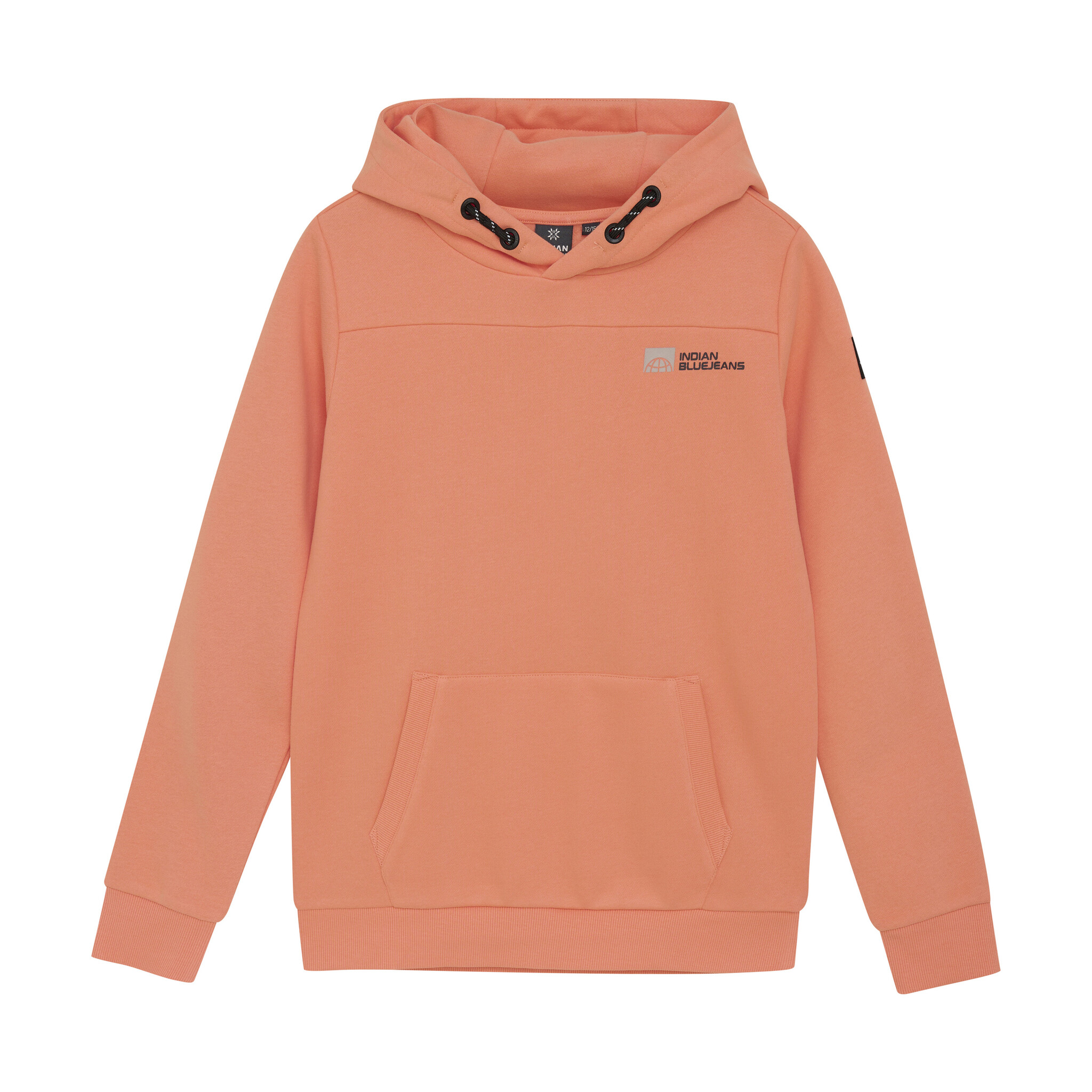 Indian Blue Jeans Winter hoodie jongens - oranje - kangaroe zak afbeelding