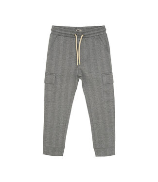 Daily7 winter cargo broek jongens - grijs - strepen