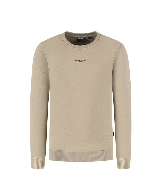 Ballin winter sweater jongens - taupe - animal take over
