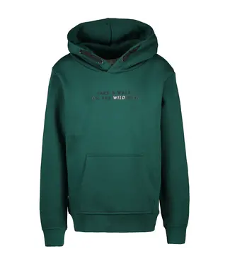 Cars winter sweater meisjes - Neiva - groen