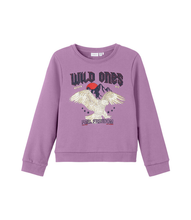 Name it winter sweater meisjes - paars - NkfPnawild