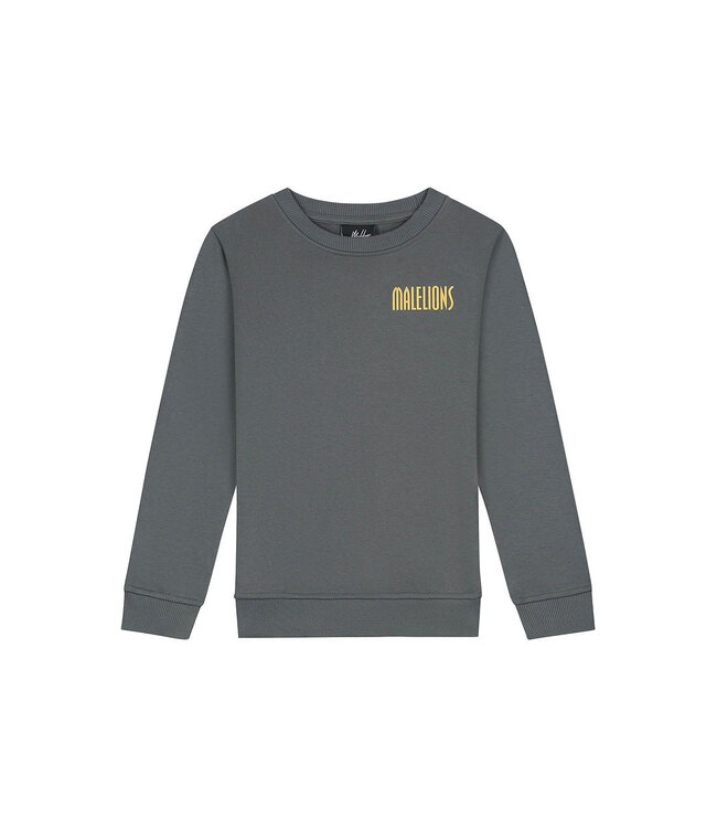 Malelions winter sweater jongens - grijs - hollywood map