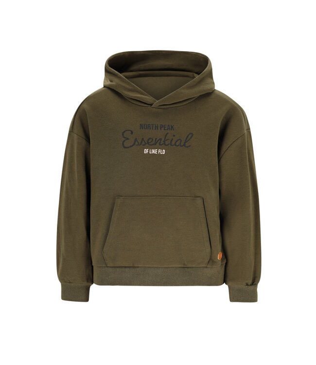 Like Flo winter hoodie jongens - groen - Dail