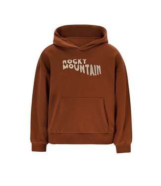 Like Flo winter hoodie jongens - bruin - Dail