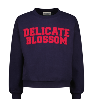 Raizzed zomer sweater meisjes - blauw - Sem Raizzed zomer sweater meisjes - blauw - Sem