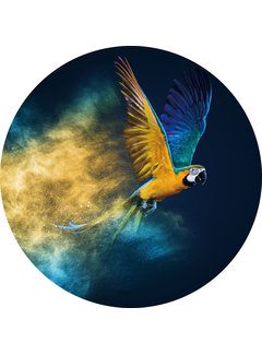 Plexiglas schilderij papegaai