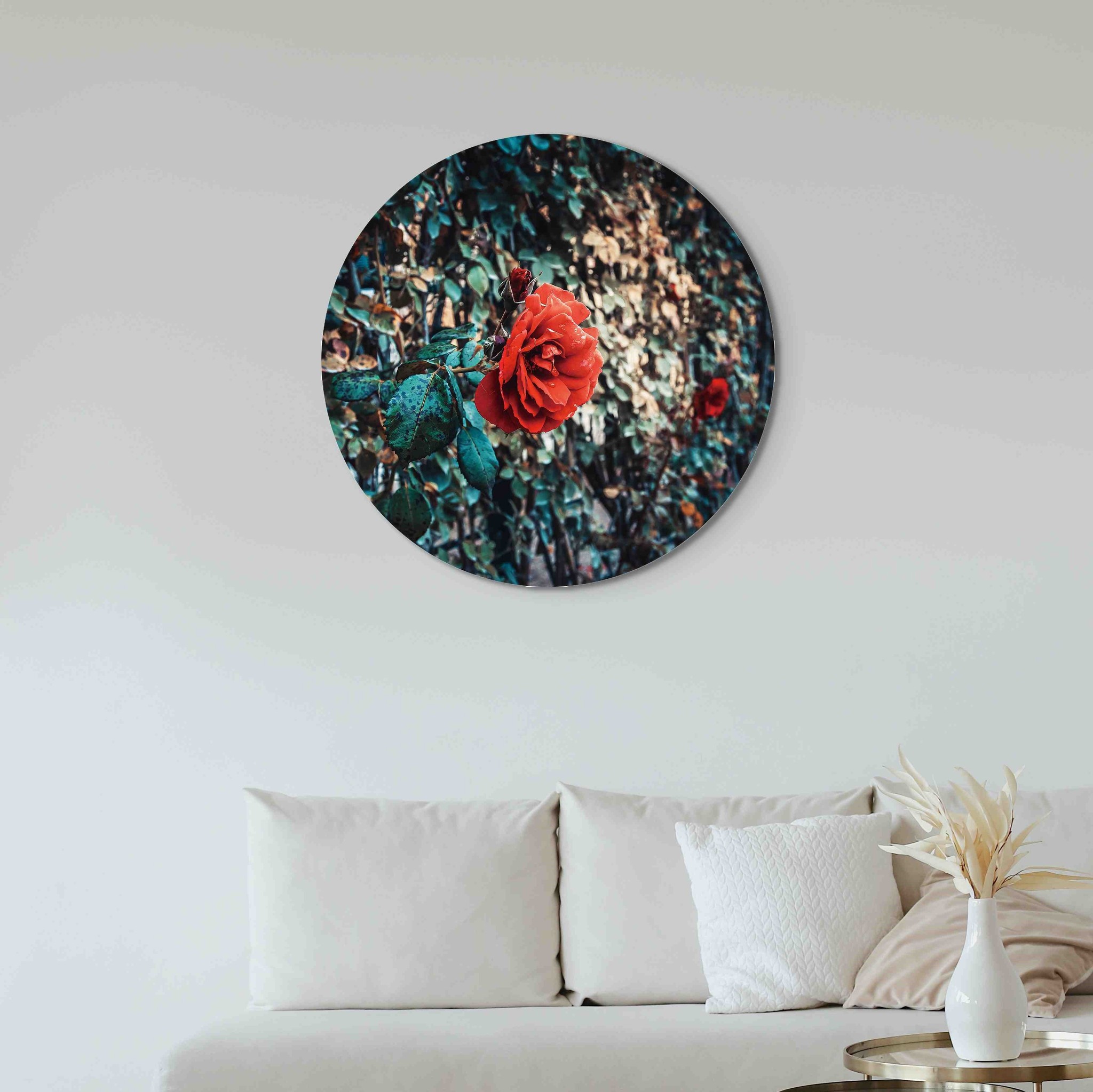 Plexiglas schilderij roos
