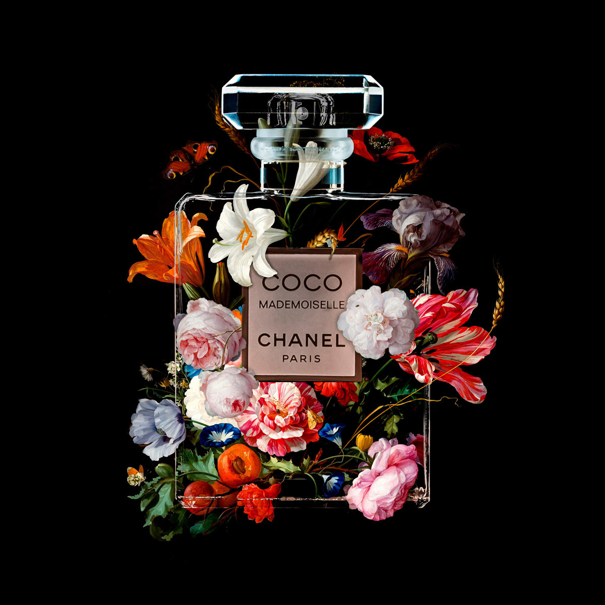 The Perfume Collection VI