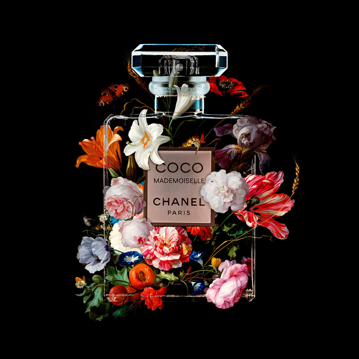 The Perfume Collection VI