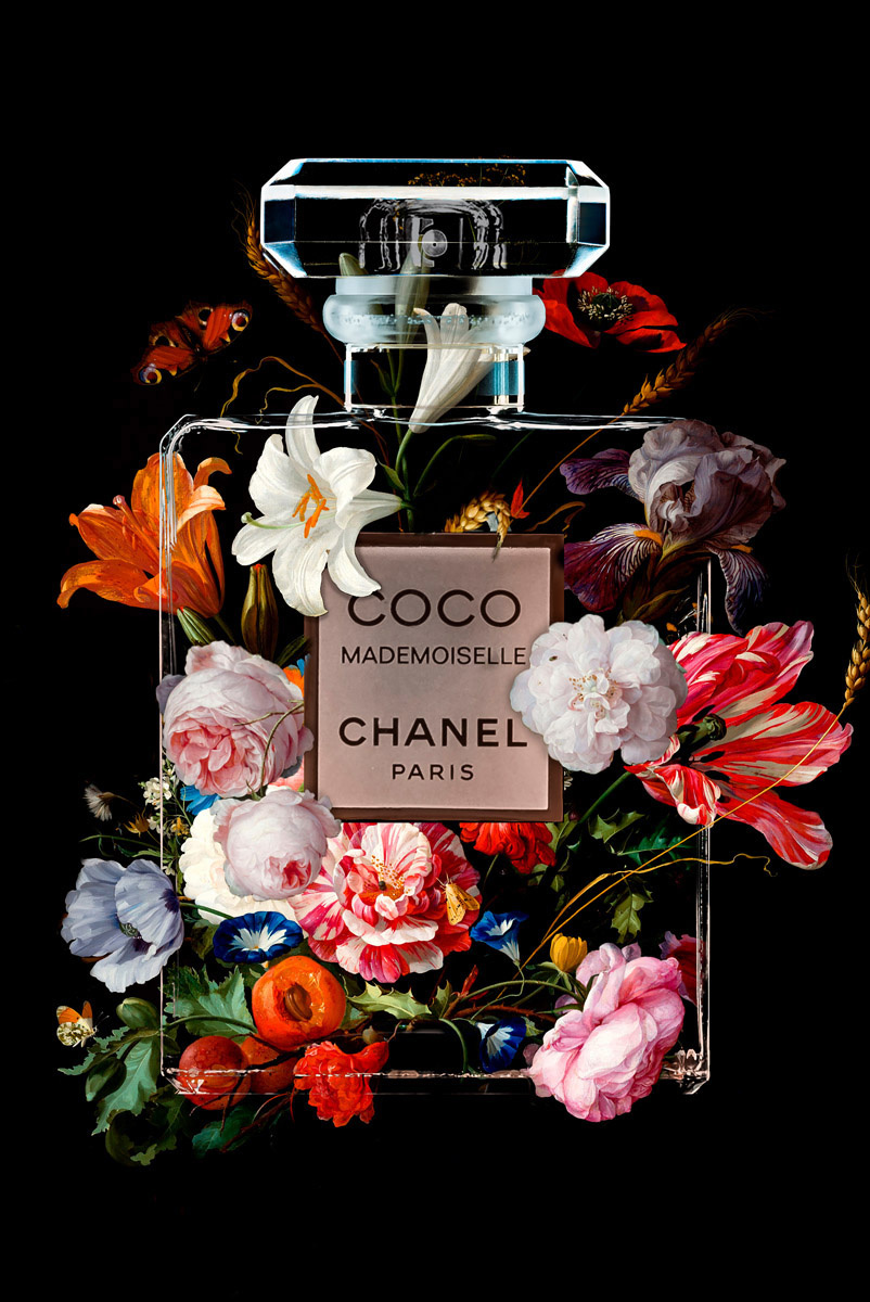 The Perfume Collection VI