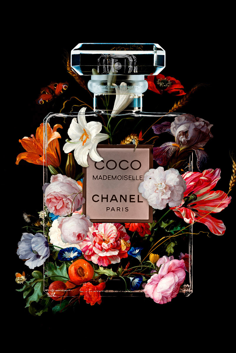 The Perfume Collection VI