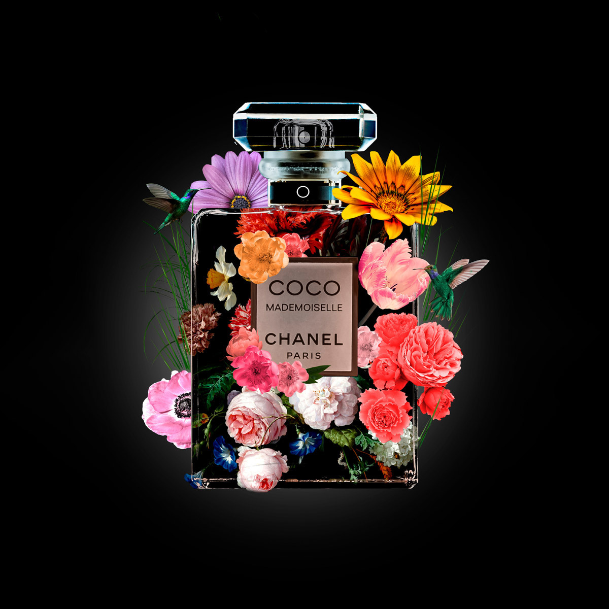 The Perfume Collection V