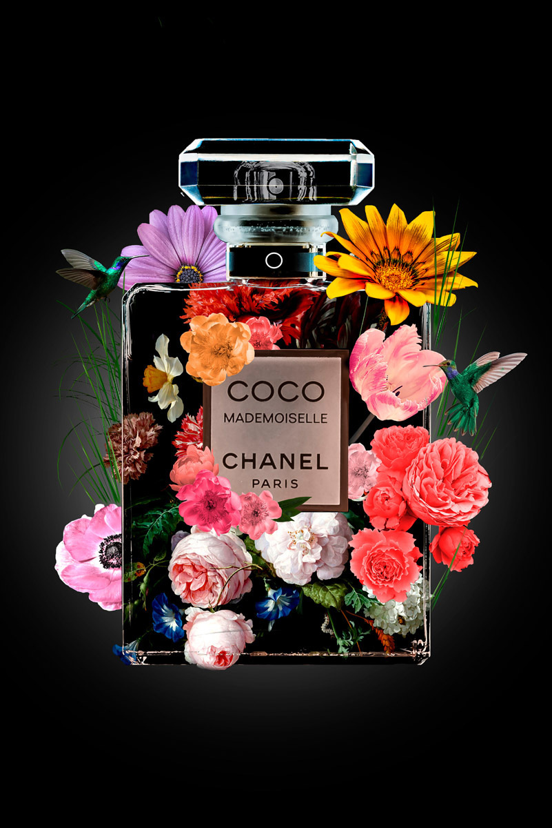 The Perfume Collection V
