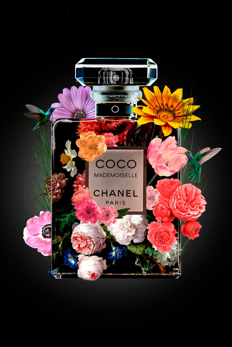 The Perfume Collection V