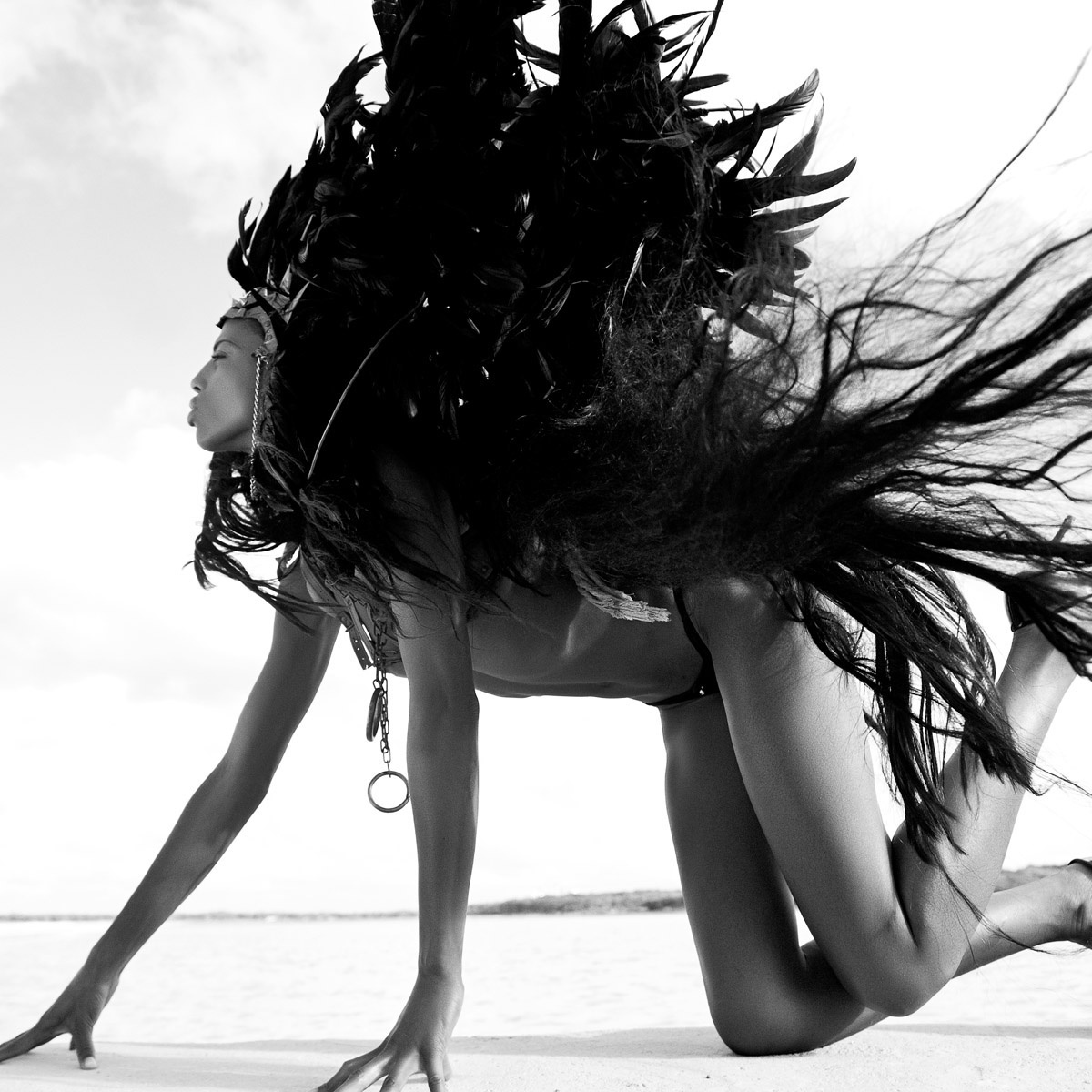 Black Swan