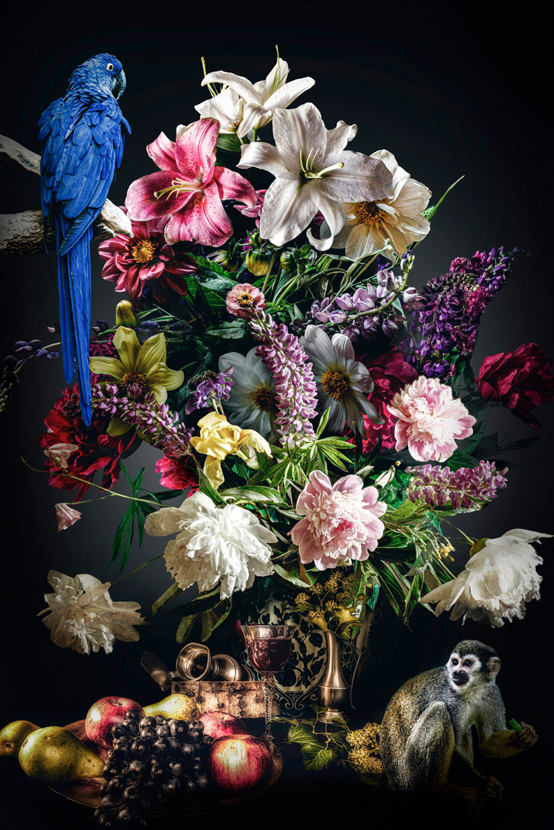 The Still Life Collection III