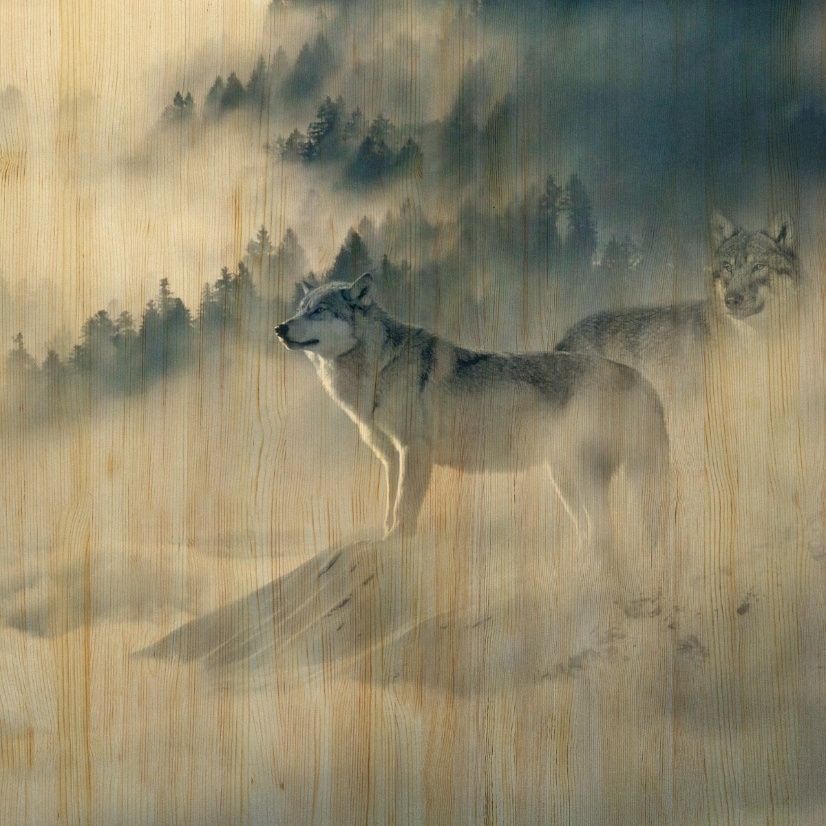 European Wildlife 006