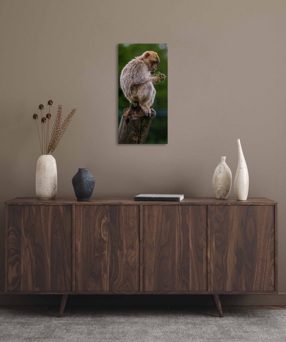 Wildlife 018