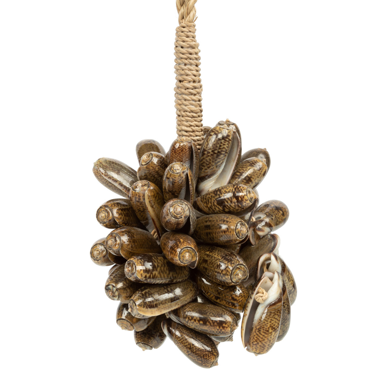 De Brown Kauri Schelp Hangdecoratie