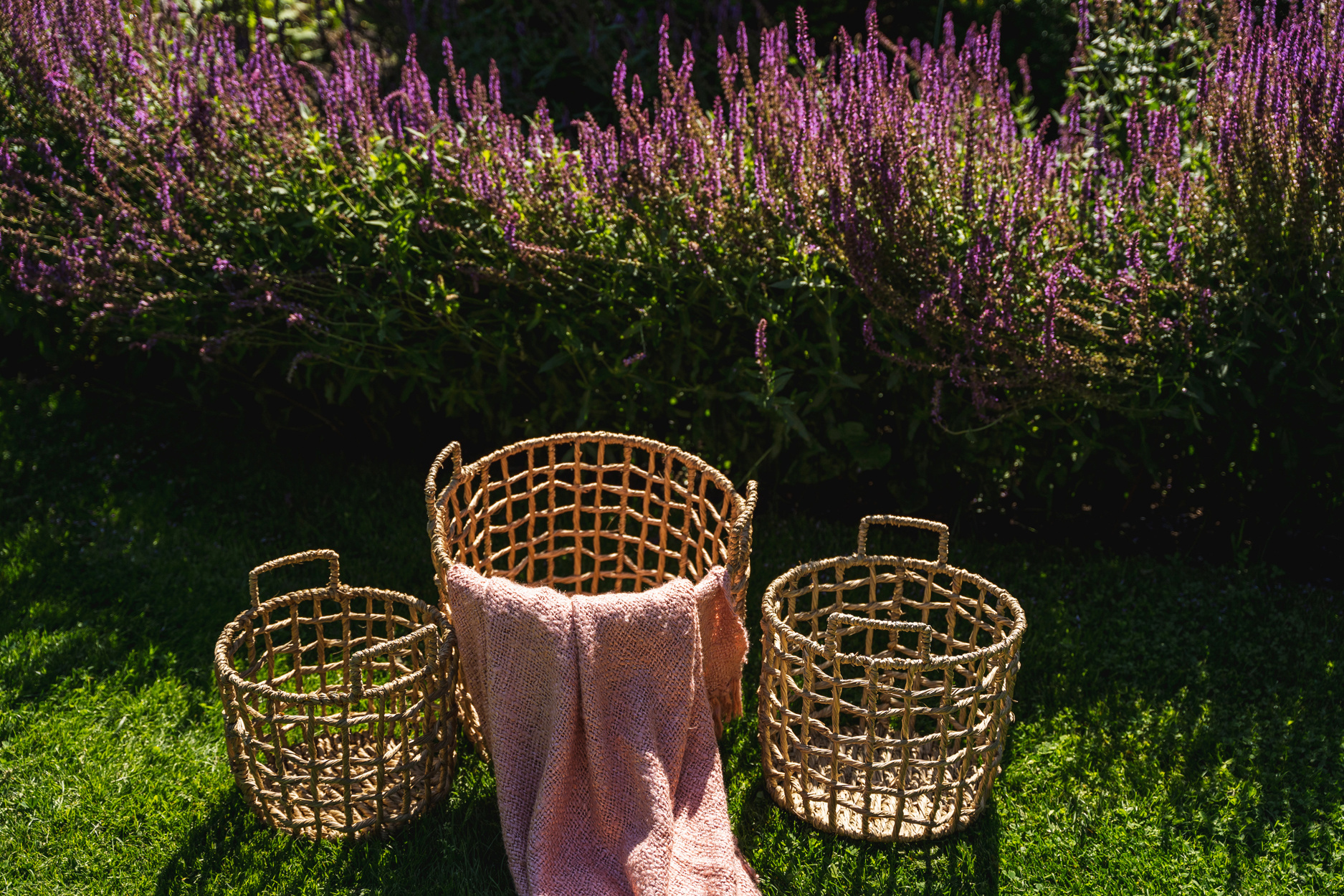 De S'il vous Plaid - Zalm Roze