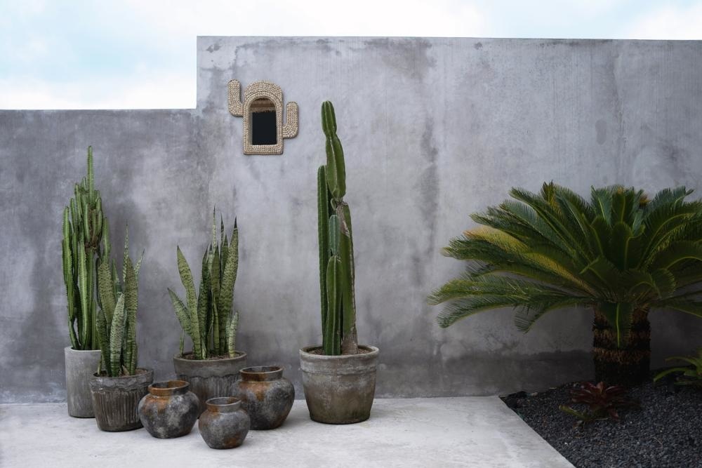 De Cactus Shell Spiegel - Naturel