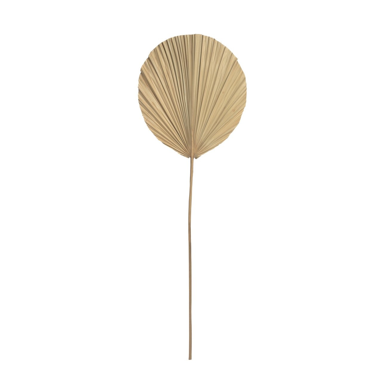 Het Rayung Blad - Naturel - Set van 4