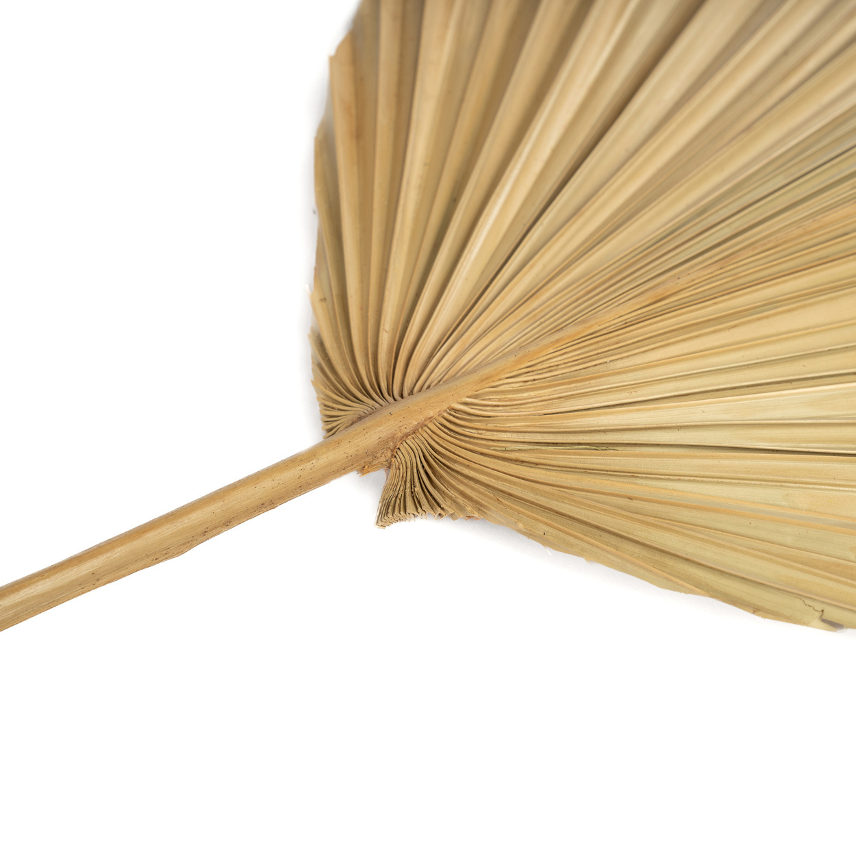 Het Rayung Blad - Naturel - Set van 4