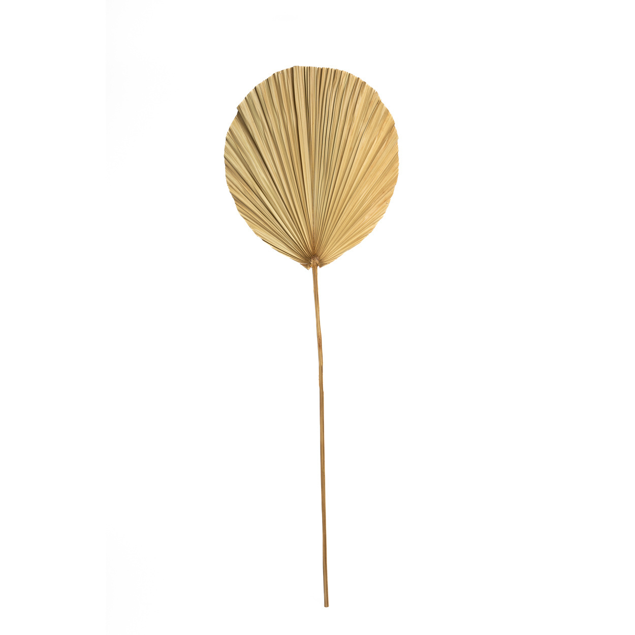 Het Rayung Blad - Naturel - Set van 4