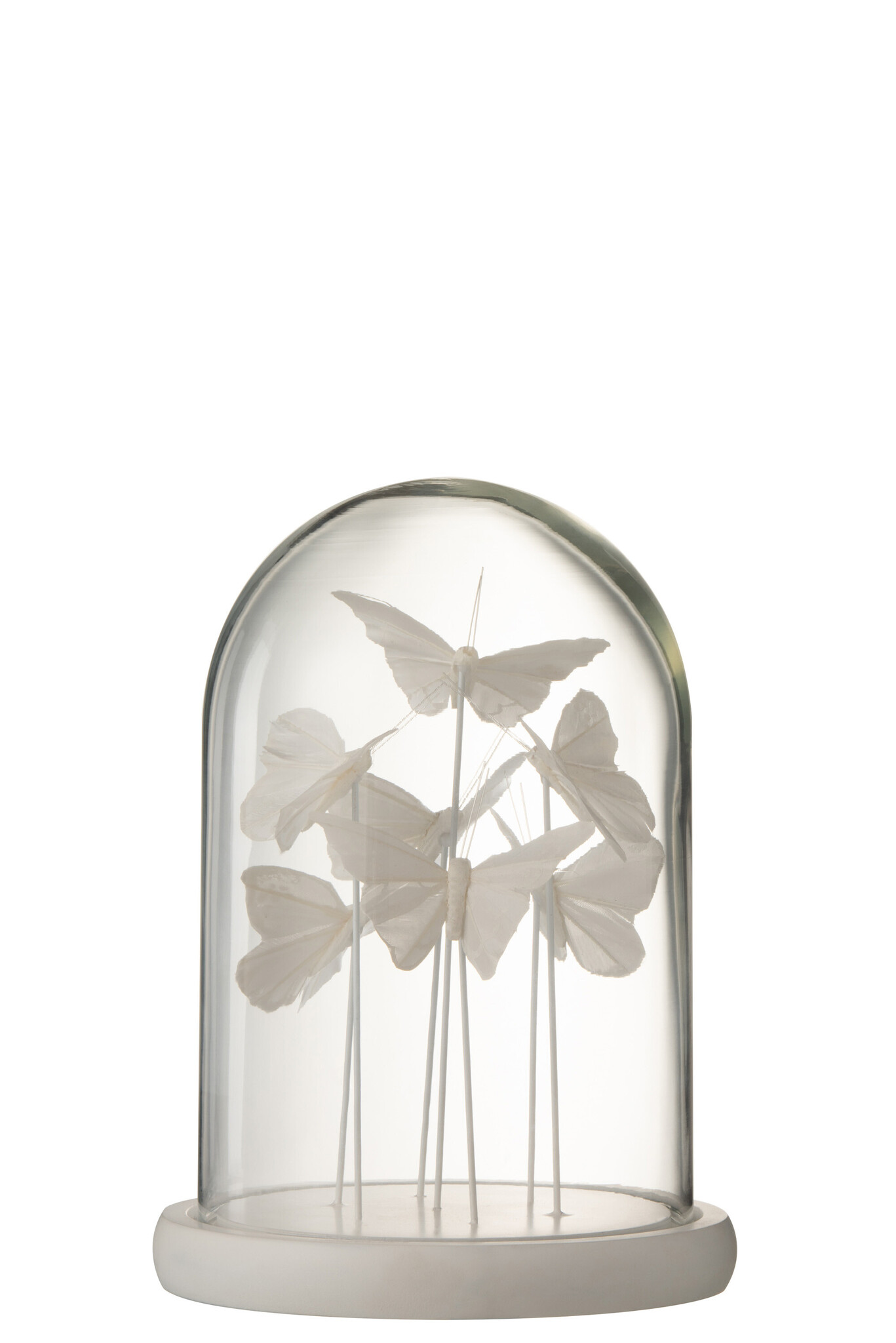 BELL JAR BUTTERFLY GLASS WH S