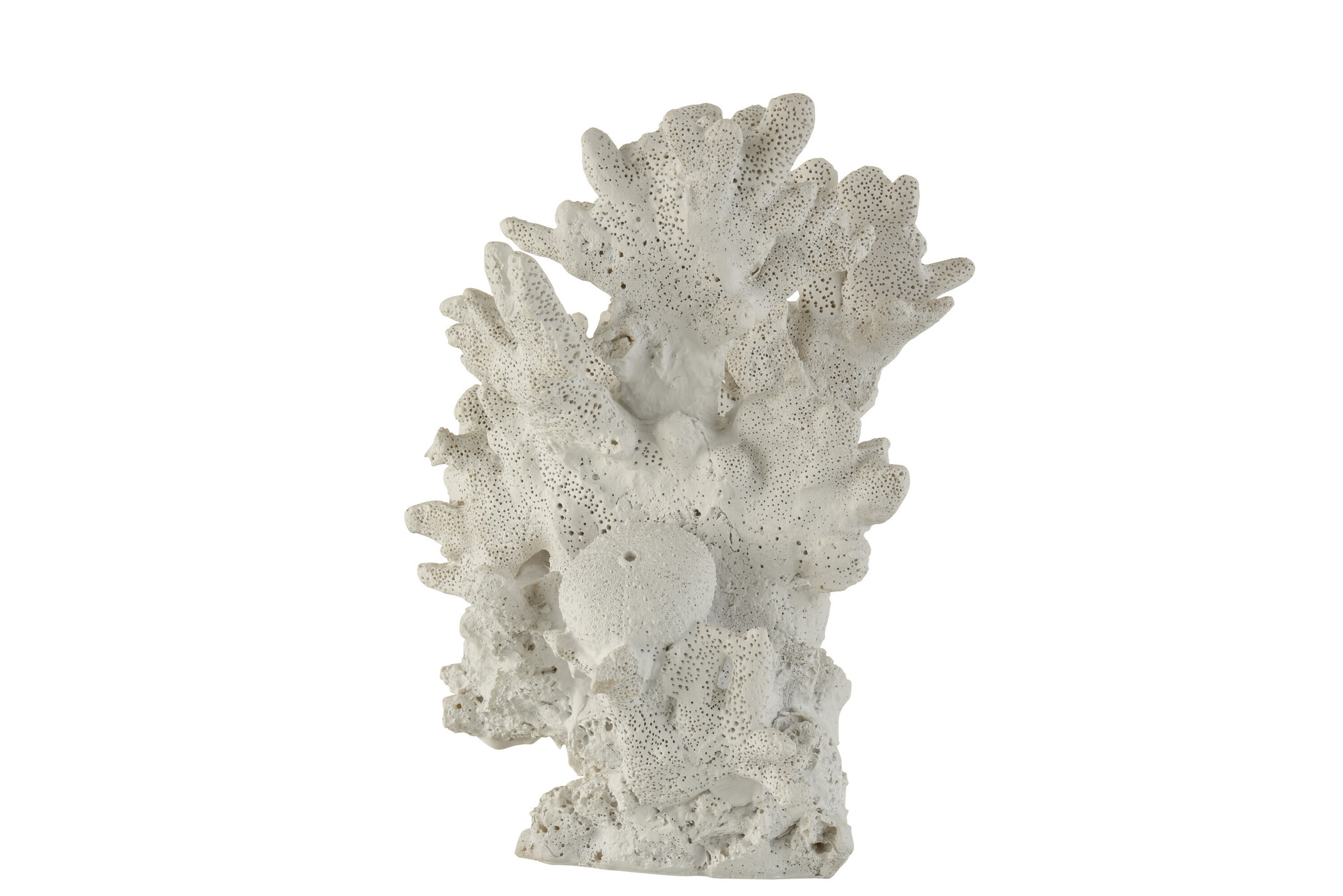 CORAL POLY WHITE S