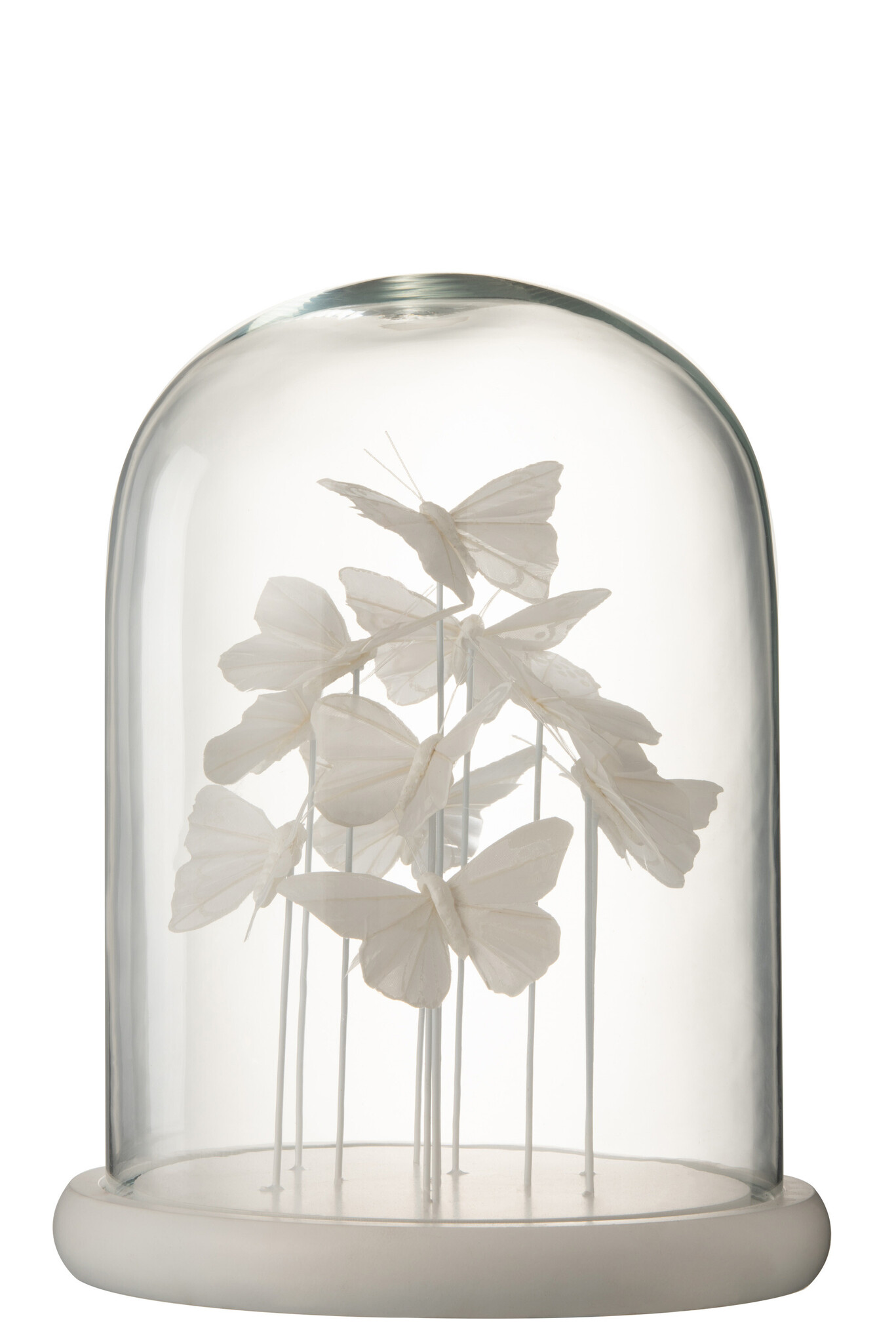 BELL JAR BUTTERFLY GLASS WH L