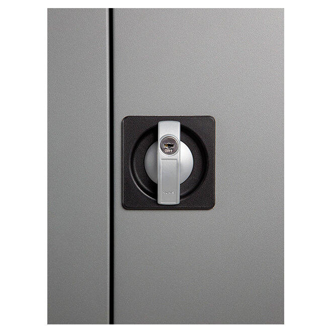 Draaideurkast LION2.0 afmeting H180 x B80 x D38 cm per 6 stuks