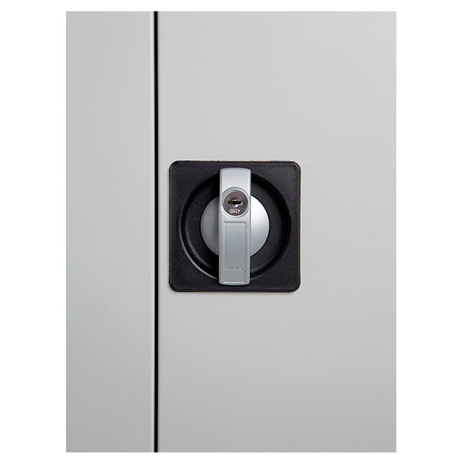 Draaideurkast LION2.0 afmeting H180 x B80 x D38 cm per 12 stuks