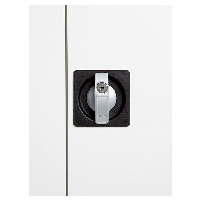 Draaideurkast LION2.0 afmeting H180 x B80 x D38 cm per 12 stuks