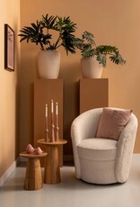 Koloniaal Teakhuis Prachtige moderne set Conische plantentafels Mangohout