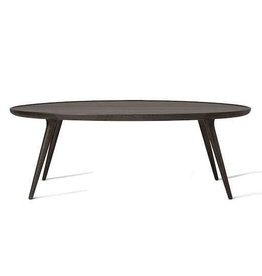 ACCENT 橢圓咖啡桌/茶几