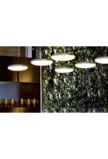 SILVERBACK SUSPENDED PENDANT LIGHT