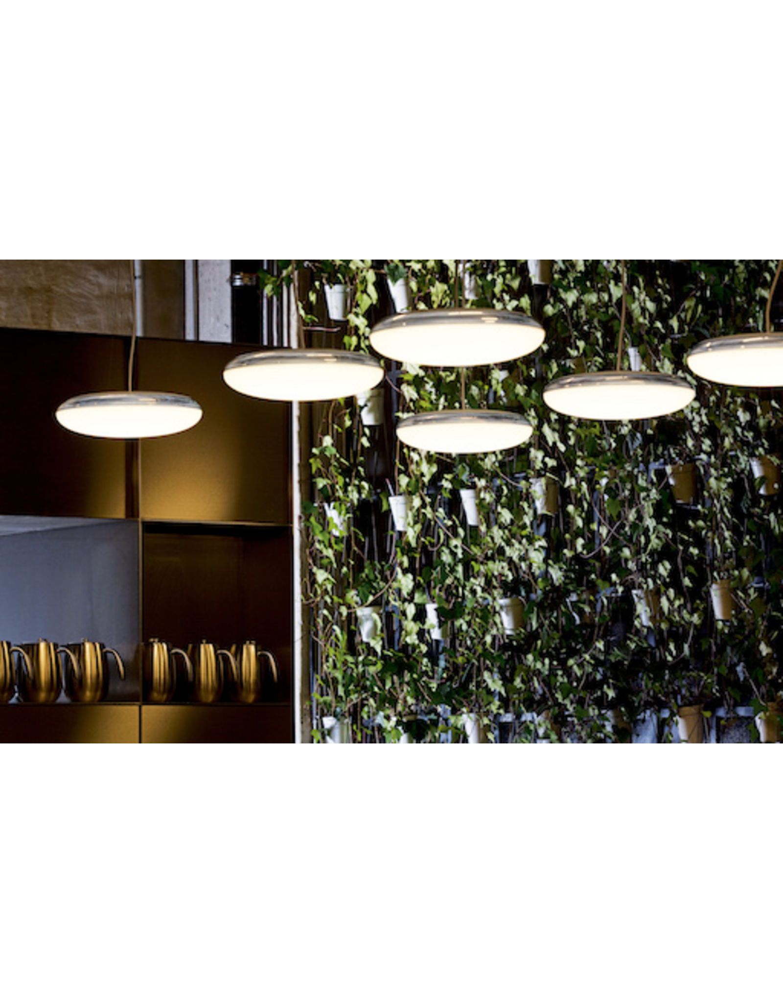 SILVERBACK SUSPENDED PENDANT LIGHT