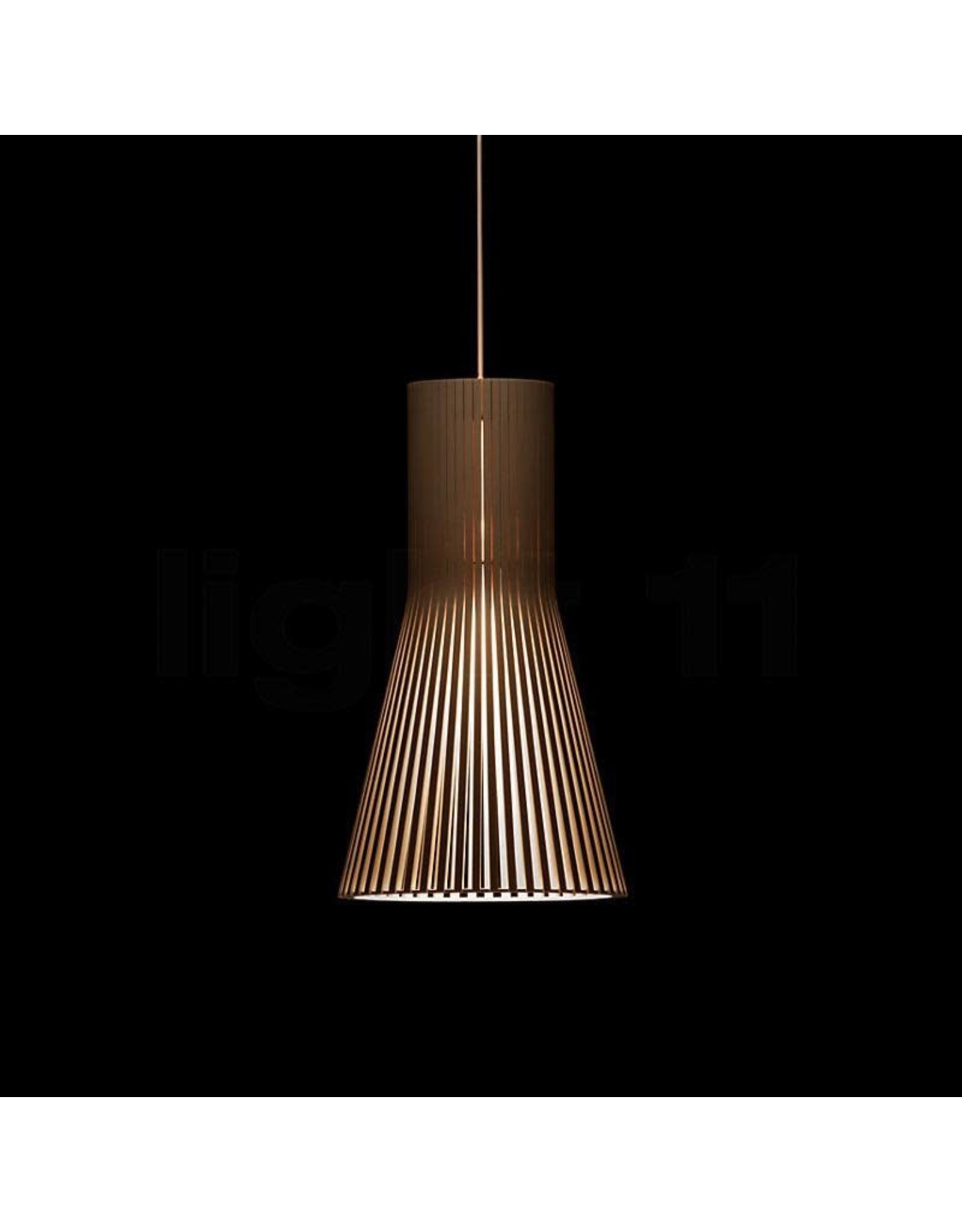 SECTO 4201 PENDANT LAMP