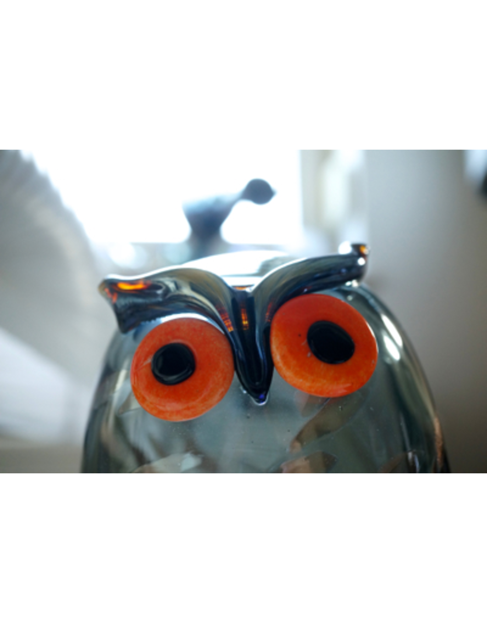 超激得得価 iittala - Long-eared Owl トラフズク イッタラ バード