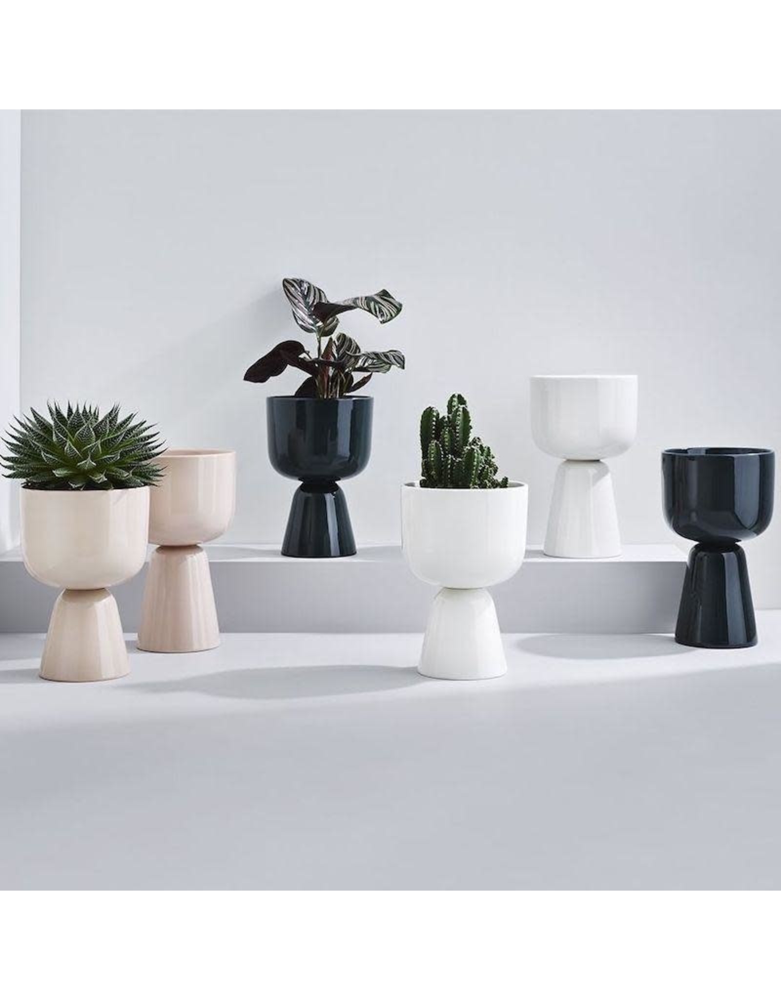 NAPPULA PLANT POT IN WHITE