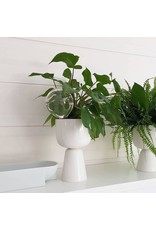 NAPPULA PLANT POT IN WHITE