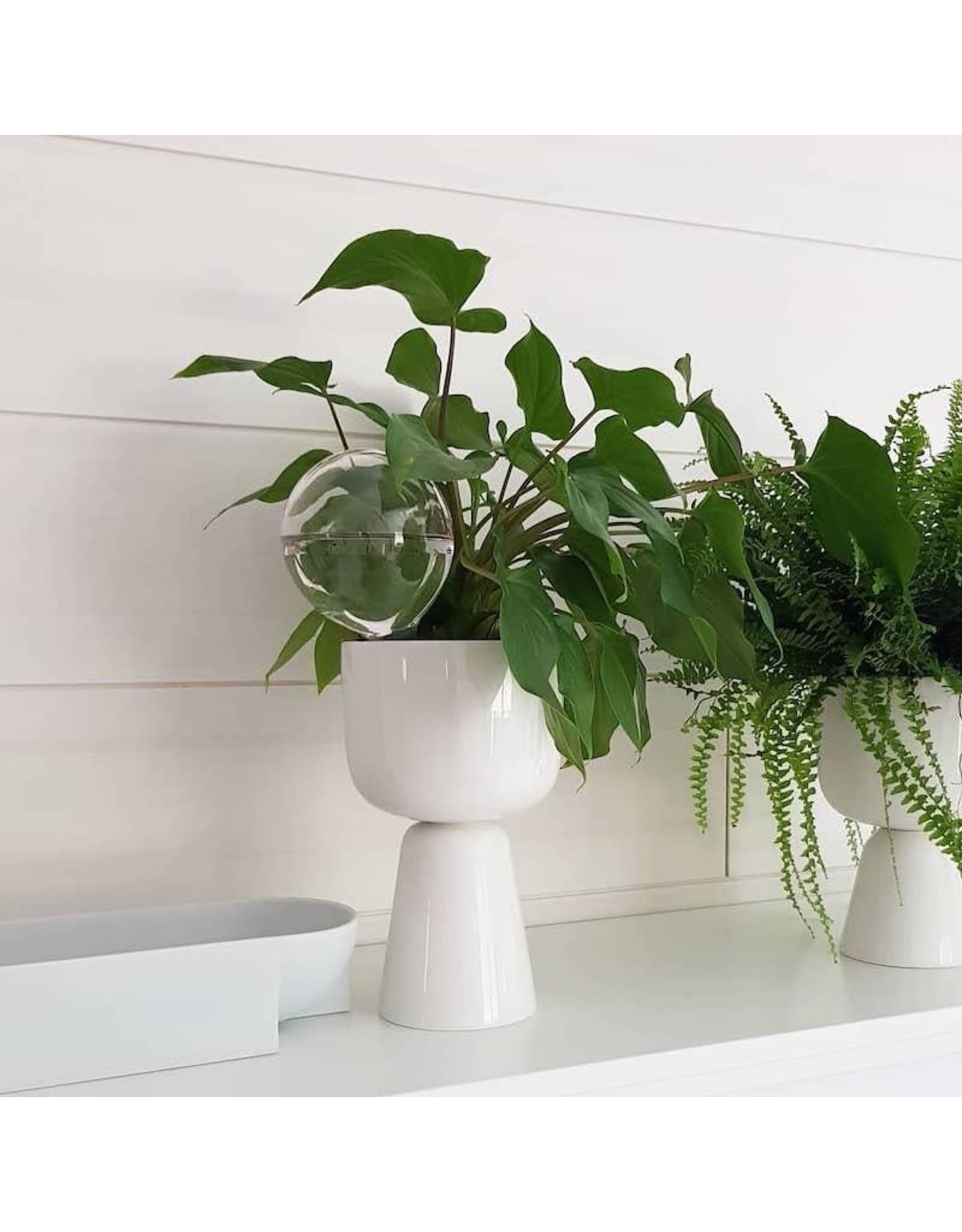 NAPPULA PLANT POT IN WHITE