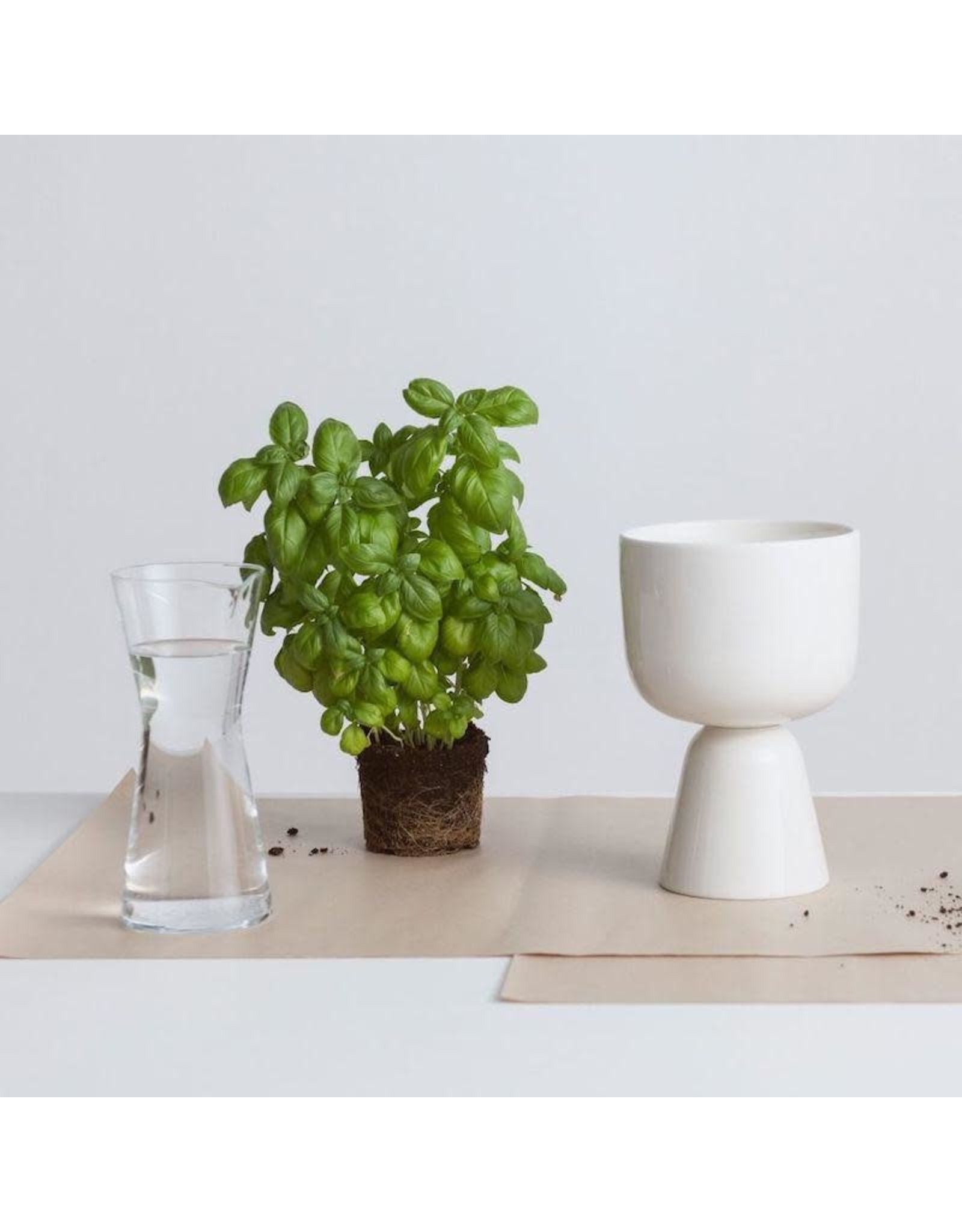 NAPPULA 白色花盆