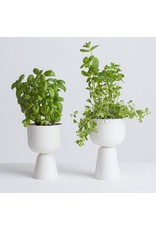 NAPPULA PLANT POT IN WHITE