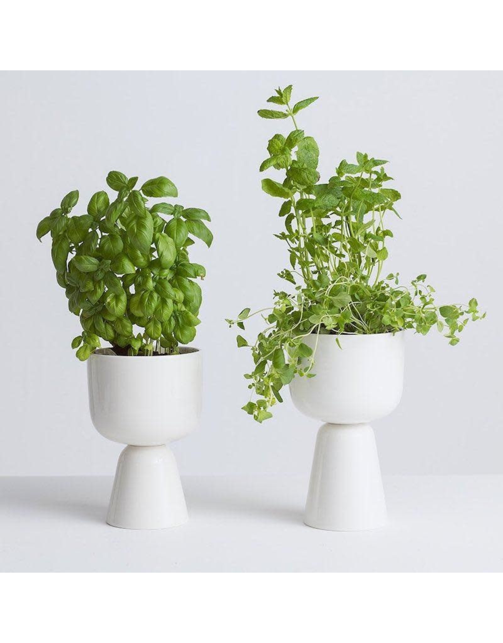 NAPPULA PLANT POT IN WHITE