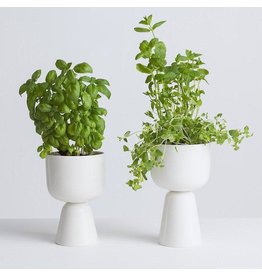 NAPPULA PLANT POT IN WHITE