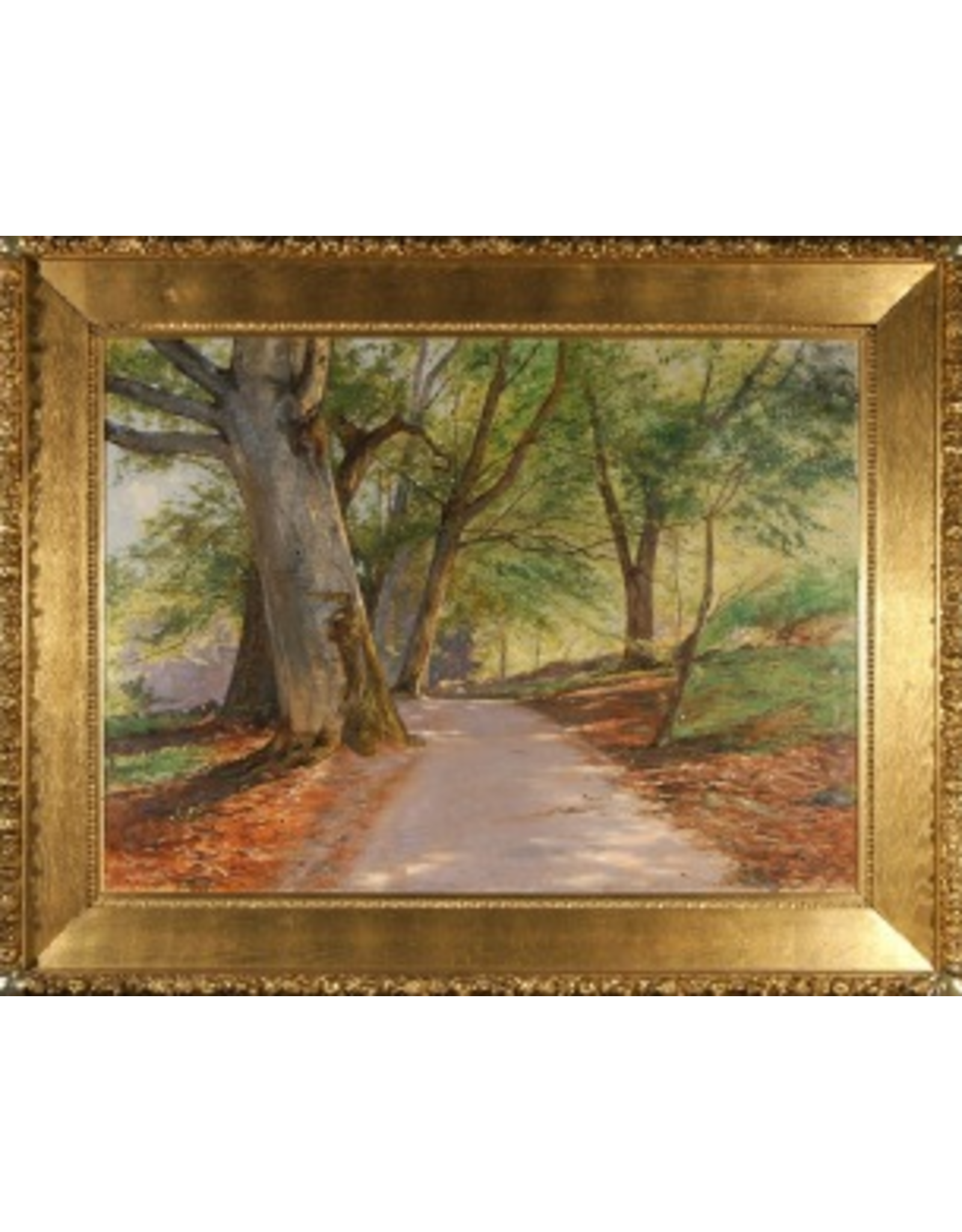 DAPPLED LANE LINED WITH BIRCH TREES OIL IN CANVAS