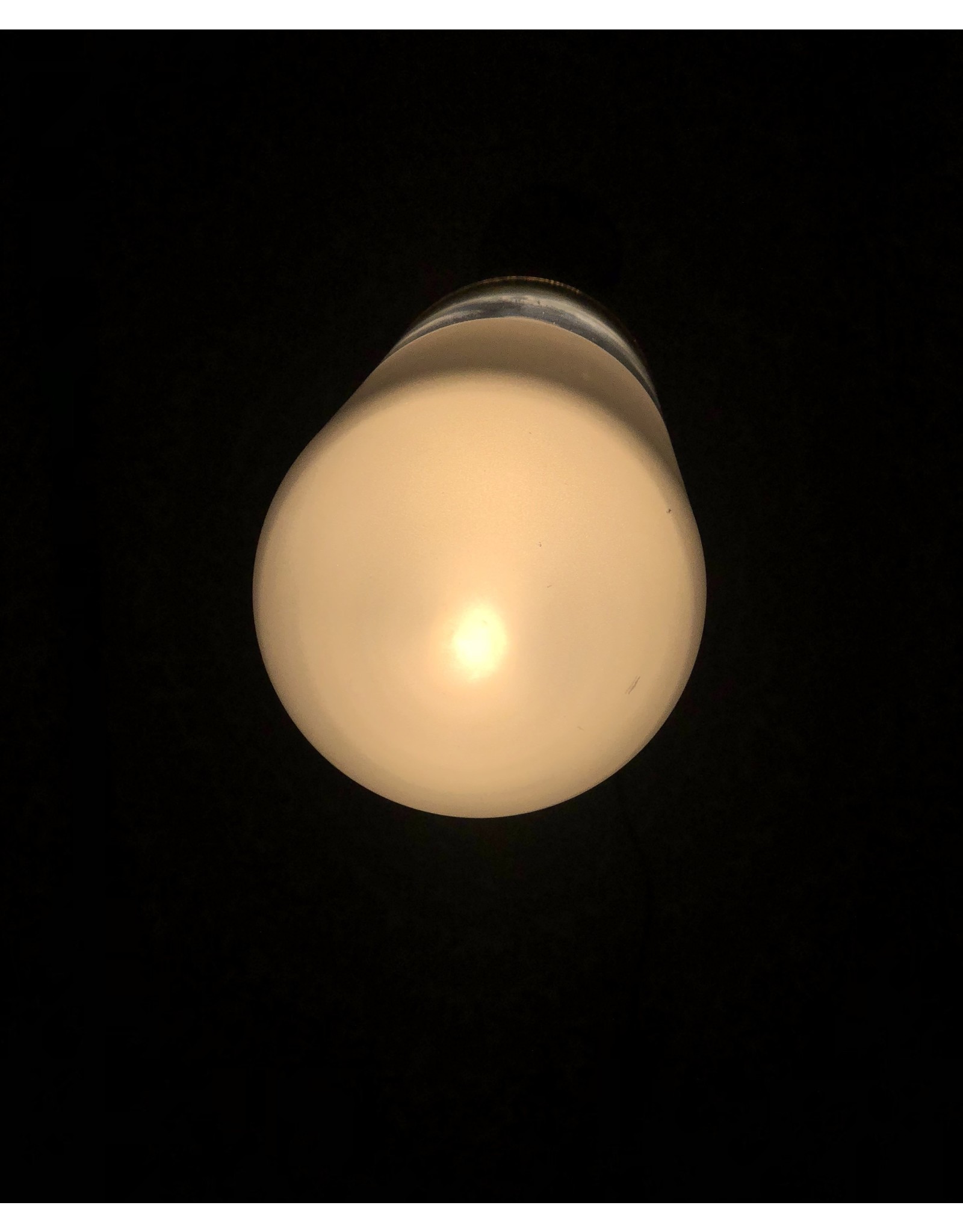 (BARGAIN CORNER) FIREFLY LED PENDANT LAMP IN COPPER