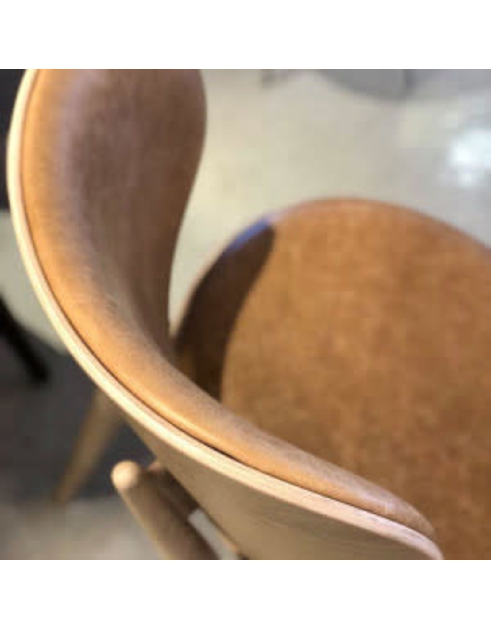 (陳列室物品)THE DINING CHAIR 餐椅